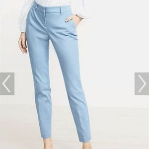 Express 10 Long Columinist Pants